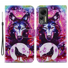 Pour Ulefone Note 14 Étui de téléphone en cuir à rabat horizontal à motif peint (Totem de loup)