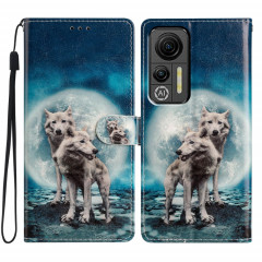 Pour Ulefone Note 14 Étui de téléphone en cuir à dessin coloré (Twin Wolves)