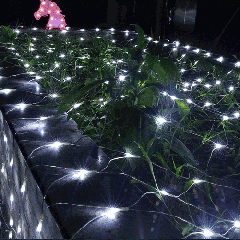 3m (Longueur) x 2m (Hauteur) 12W 200 LEDs Reticular String Devoration Lights avec Fin de Joint et Multi-fonction Controller, , AC 220V (Lumière Blanche)