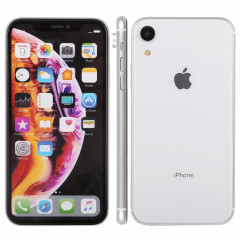 Modèle d'affichage factice factice d'écran non-couleur pour iPhone XR (blanc)