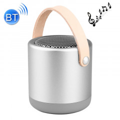 A056 Enceinte portable Bluetooth V4.1 extérieure avec micro, prise en charge mains libres et entrée ligne AUX (argent)