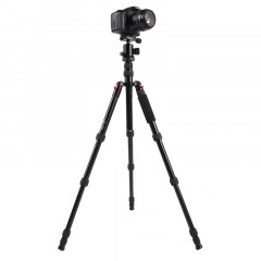 Trépied en aluminium portable réglable Triopo MT-2505C avec rotule NB-1S pour appareil photo Canon Nikon Sony DSLR (Noir)