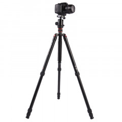 Trépied en aluminium portable réglable Triopo MT-2804C avec rotule NB-2S pour appareil photo Canon Nikon Sony DSLR (Noir)