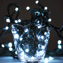 10m imperméable à l'eau 100 LED lumières décoratives de chaîne avec le joint d'extrémité et le contrôleur, clignotant / effet de fading / Chasing, prise de l'UE, CA 220V (lumière blanche)