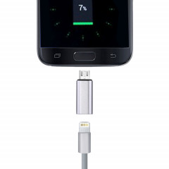 Adaptateur de coque métallique 8 broches femelle vers micro USB mâle, Pour Samsung / Huawei / Xiaomi / Meizu / LG / HTC et autres smartphones (argent)