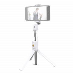 K10 Bluetooth 4.0 téléphone portable réglable Bluetooth Selfie Stick trépied de pôle retardateur (blanc)