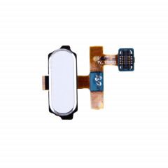 Pour Galaxy Tab S2 8.0 / T715 Câble flexible du bouton d'accueil (Blanc)