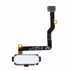 iPartsAcheter pour bouton d'accueil Samsung Galaxy C5 / C5000 (blanc)