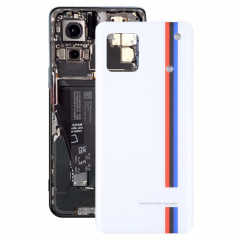 Pour vivo iQOO 9 Couvercle arrière de la batterie en verre OEM (Blanc)