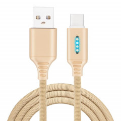 Interface USB-C / TYPE-C Alliage de zinc Marquee Luminous Intelligent Automatic Date de chargement Données de charge (Gold)