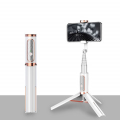 Bluetooth Selfie Stick avec Trépied Multi-Fonctions TÉLÉPHONE MOBILE DE TÉLÉPHONE MOBILE DE REMPLIR LIGHT LIGHT LIGHT (GOLD)