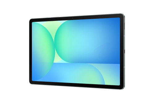Samsung Galaxy Tab S10 FE WiFi (128GB) 8GB gris 163202-012