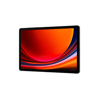 Samsung Galaxy Tab S9 WiFi (256GB) 8GB graphite 822068-07