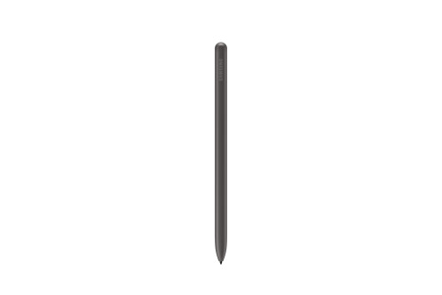Samsung Galaxy Tab S9 FE 5G 128GB Enterprise Edition grey 196732-012