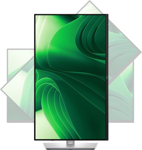 Dell P2425D 155866-012