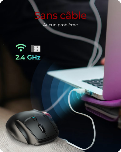 KeySonic KSM-6101RF-EGT Souris ergonomique 783162-09