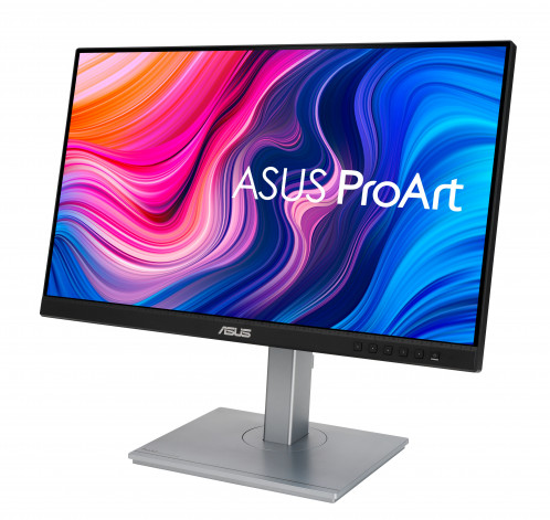 Asus PA247CV 133466-014