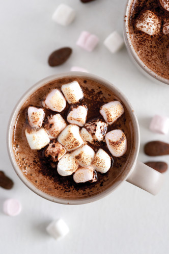 Ninja KT201EU inox, 1,7L 857999-036