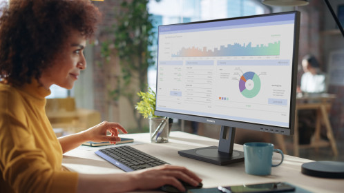 Philips 27B1N3800 213238-013