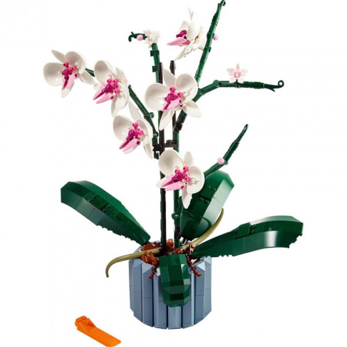 LEGO Creator Expert 10311 Orchidée 689131-06