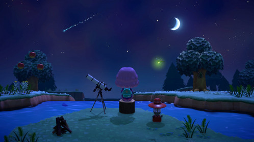 Nintendo Animal Crossing: New Horizons 521117-023
