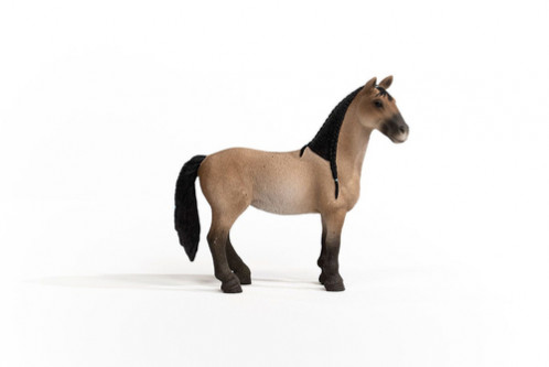 Schleich Club hippique 13948 Jument Criollo Definitivo 697062-06