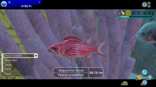 Nintendo Endless Ocean Luminous 867946-07