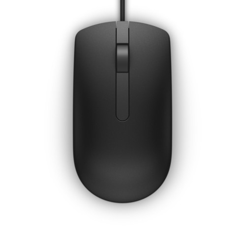 Dell MS116 souris USB noir 656945-04