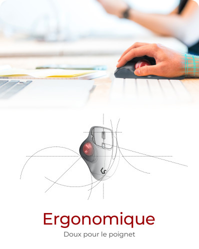 KeySonic KSM-6101RF-EGT Souris ergonomique 783162-09