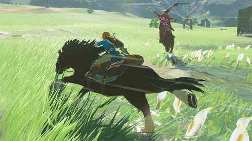 Nintendo Switch Legend of Zelda Breath of the Wild 270678-013