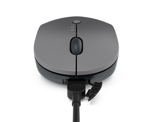 Lenovo Go gris Souris sans fil 796021-07