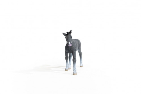 Schleich Club hippique 13944 Poulain Trakehner 696999-06