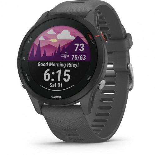 Garmin Forerunner 255 gris ardoise/noir 768539-06