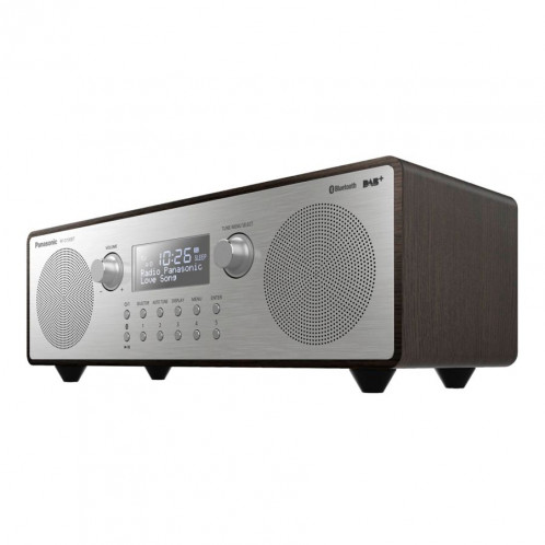 Panasonic RF-D100BTEGT marron 386997-06