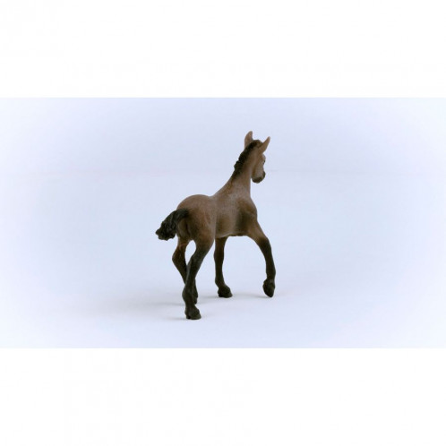 Schleich Club hippique Poulain Paso Péruvien 13954 792696-06