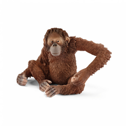 Schleich Animaux sauvages 14775 Orang-Outan, femelle 253283-03