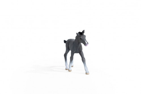 Schleich Club hippique 13944 Poulain Trakehner 696999-06