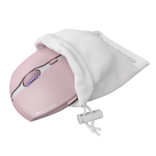 Cherry Gentix BT rose 799346-07