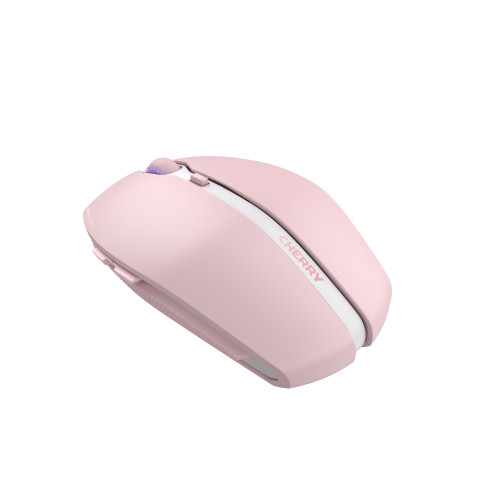 Cherry Gentix BT rose 799346-07