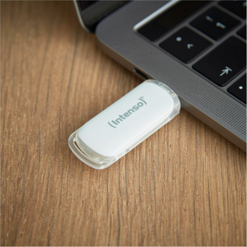 Intenso Flash Line 32GB USB Stick 3.1 Type-C 555046-05