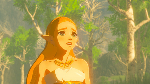 Nintendo Switch Legend of Zelda Breath of the Wild 270678-013