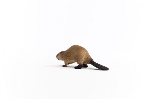 Schleich Animaux sauvages 14855 Castor 697132-05