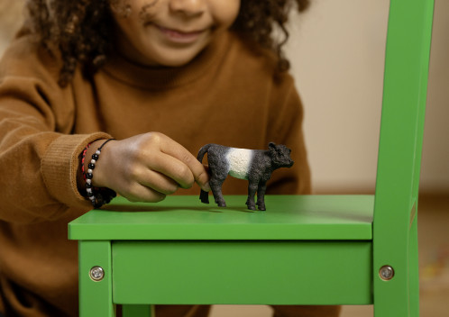 Schleich Vie à la ferme Veau Galloway 13969 857502-05