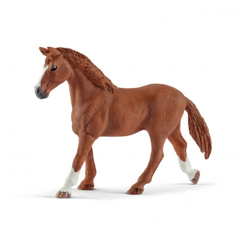 Schleich Club hippique 42458 Invités de Hannah avec ch. Ruby 429277-05