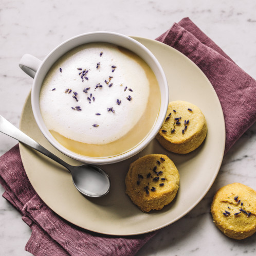 Ninja KT201EU inox, 1,7L 857999-036