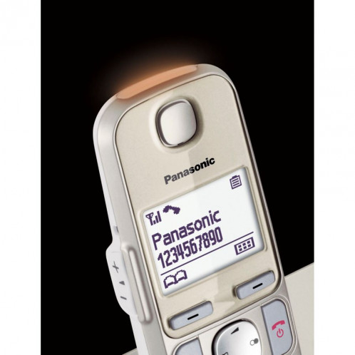 Panasonic KX-TGE250GN champagne 654180-06
