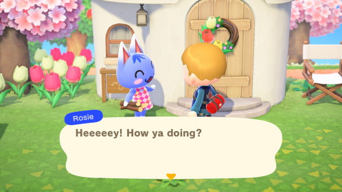 Nintendo Animal Crossing: New Horizons 521117-023