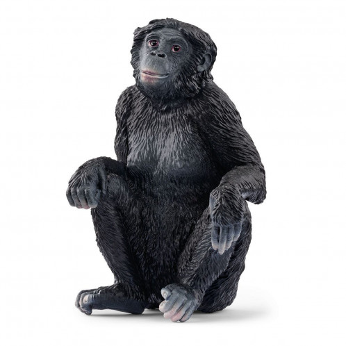 Schleich Animaux sauvages 14875 Femelle Bonobo 857649-02