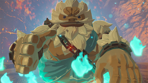 Nintendo Switch Legend of Zelda Breath of the Wild 270678-013