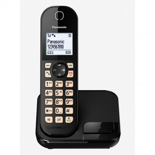 Panasonic KX-TGC450GB noir 588618-04